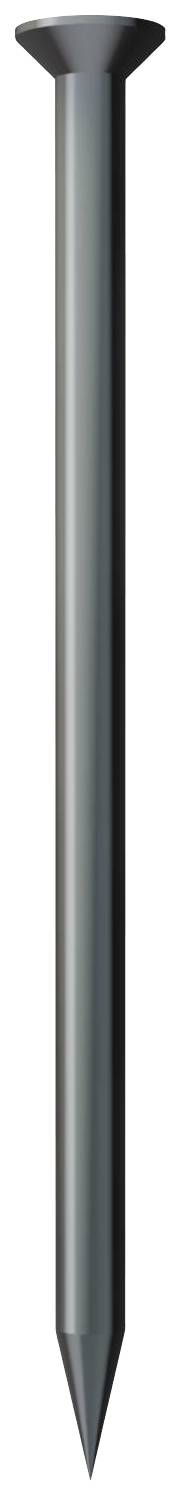 OBO Bettermann 362 30 BK 3353303 Spik, linsformat huvud (Ø x L) 2 mm x 30 mm Stål härdad 100 st
